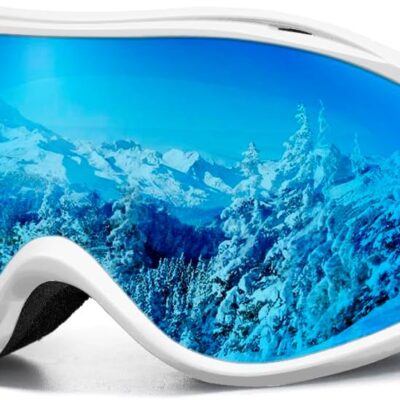Ski Goggles