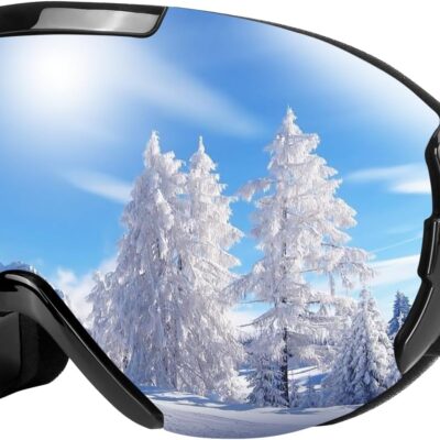 Snowboard Goggles